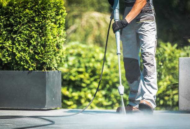 Best Sidewalk and Walkway Cleaning  in Loudon, TN